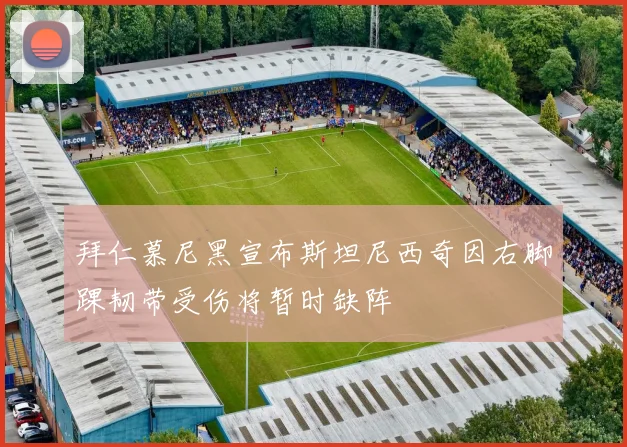 拜仁慕尼黑宣布斯坦尼西奇因右脚踝韧带受伤将暂时缺阵