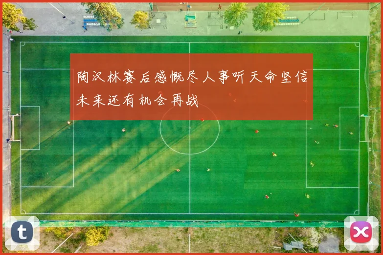 陶汉林赛后感慨尽人事听天命坚信未来还有机会再战
